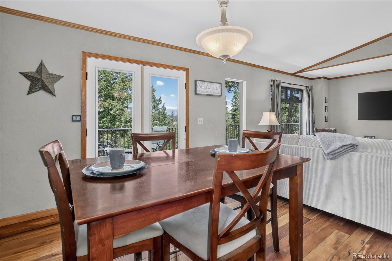 MLS Image #8 for 71  columbine drive,bailey, Colorado