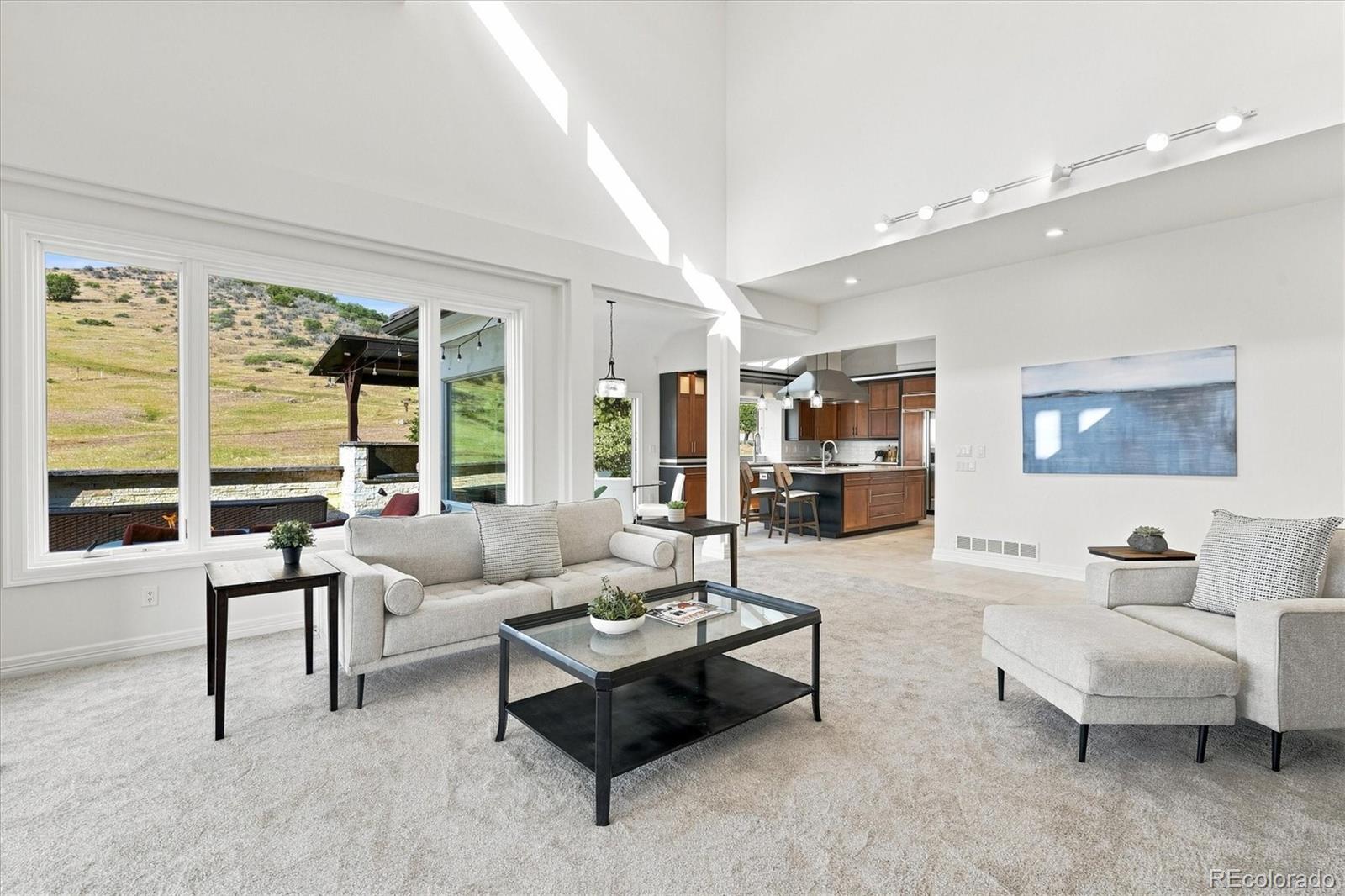 MLS Image #13 for 6  ptarmigan ,littleton, Colorado