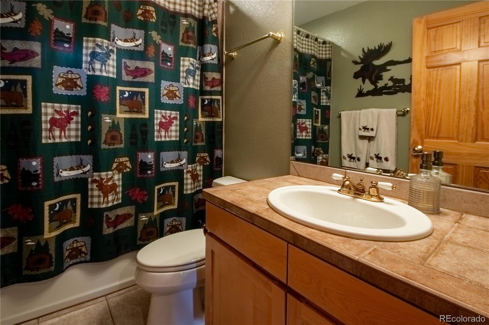 MLS Image #17 for 205  bella vista court ,grand lake, Colorado