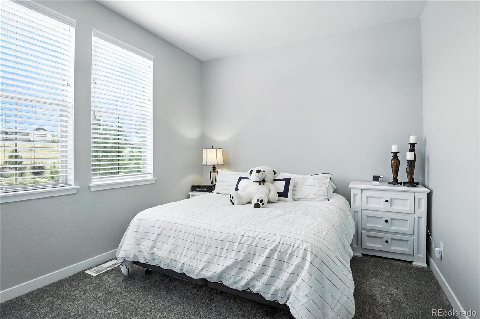 MLS Image #33 for 9538  bear river street,littleton, Colorado