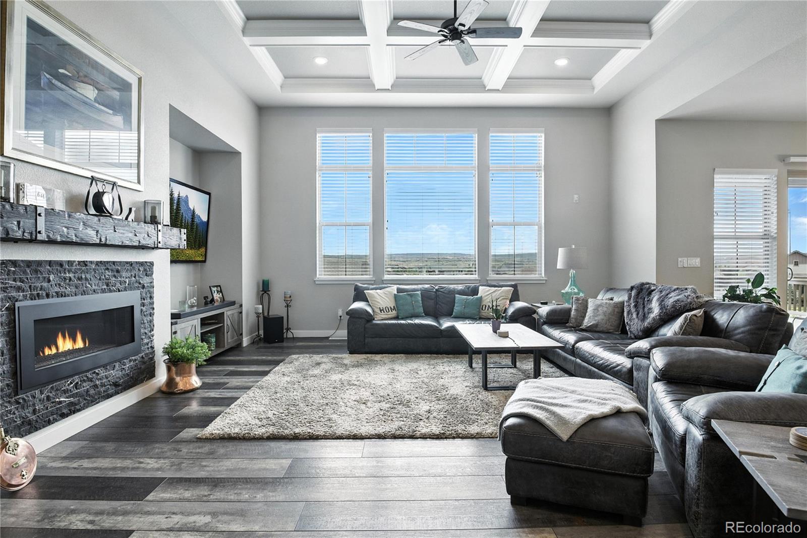 MLS Image #9 for 9538  bear river street,littleton, Colorado