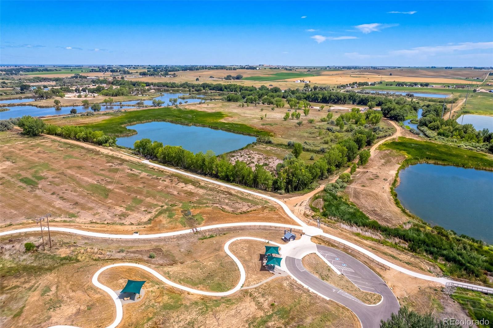 MLS Image #42 for 2458  calcite street,loveland, Colorado