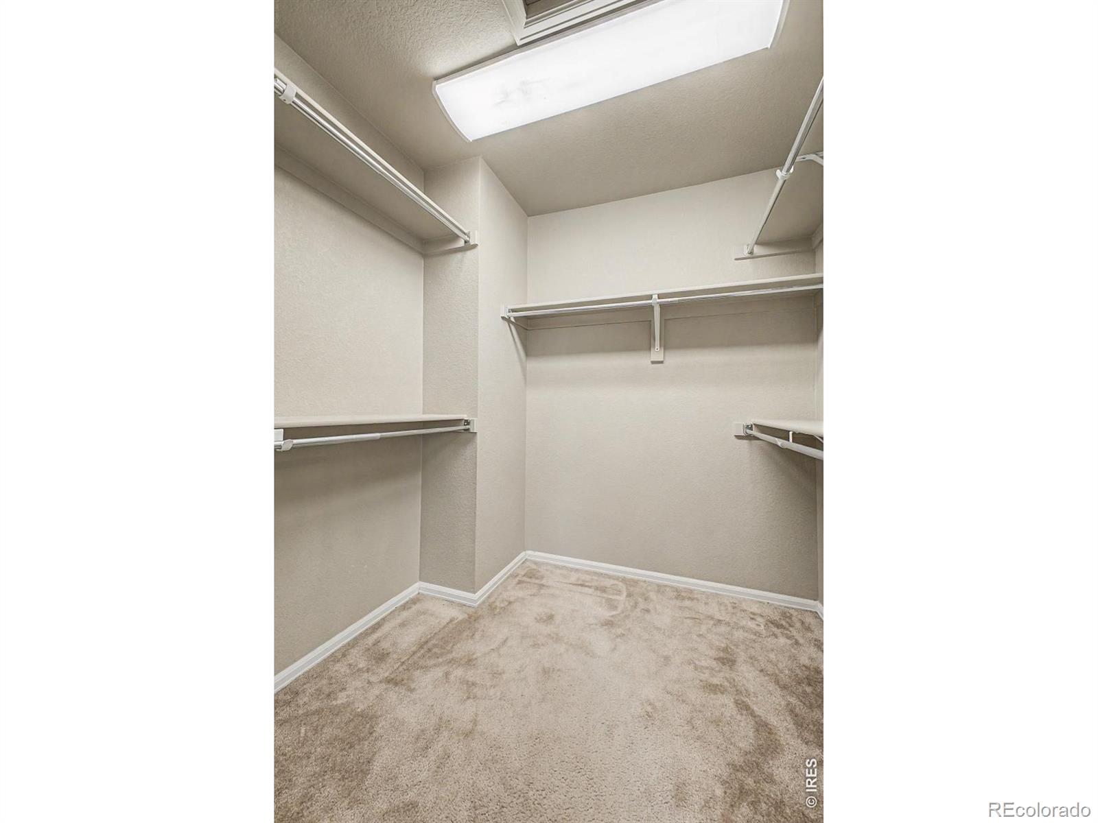 MLS Image #21 for 3451  yule trail drive,fort collins, Colorado
