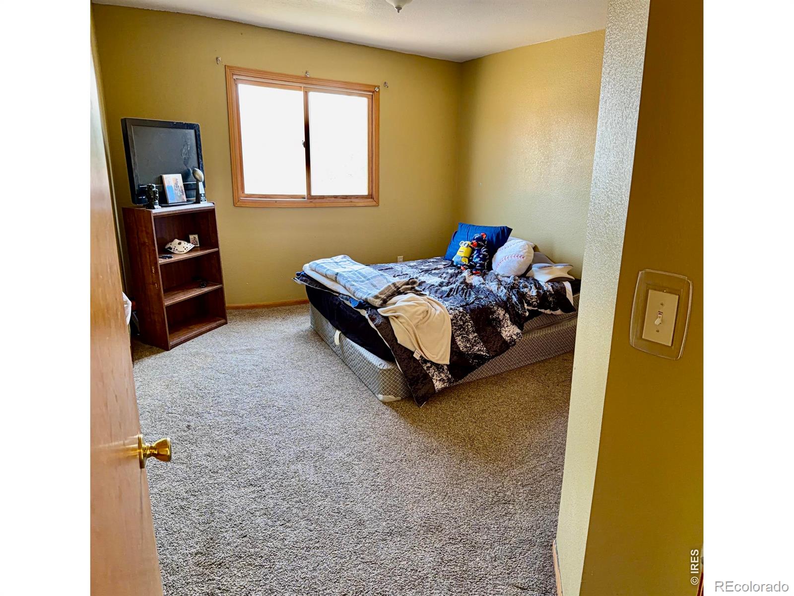 MLS Image #10 for 501  jackie ann street,ault, Colorado
