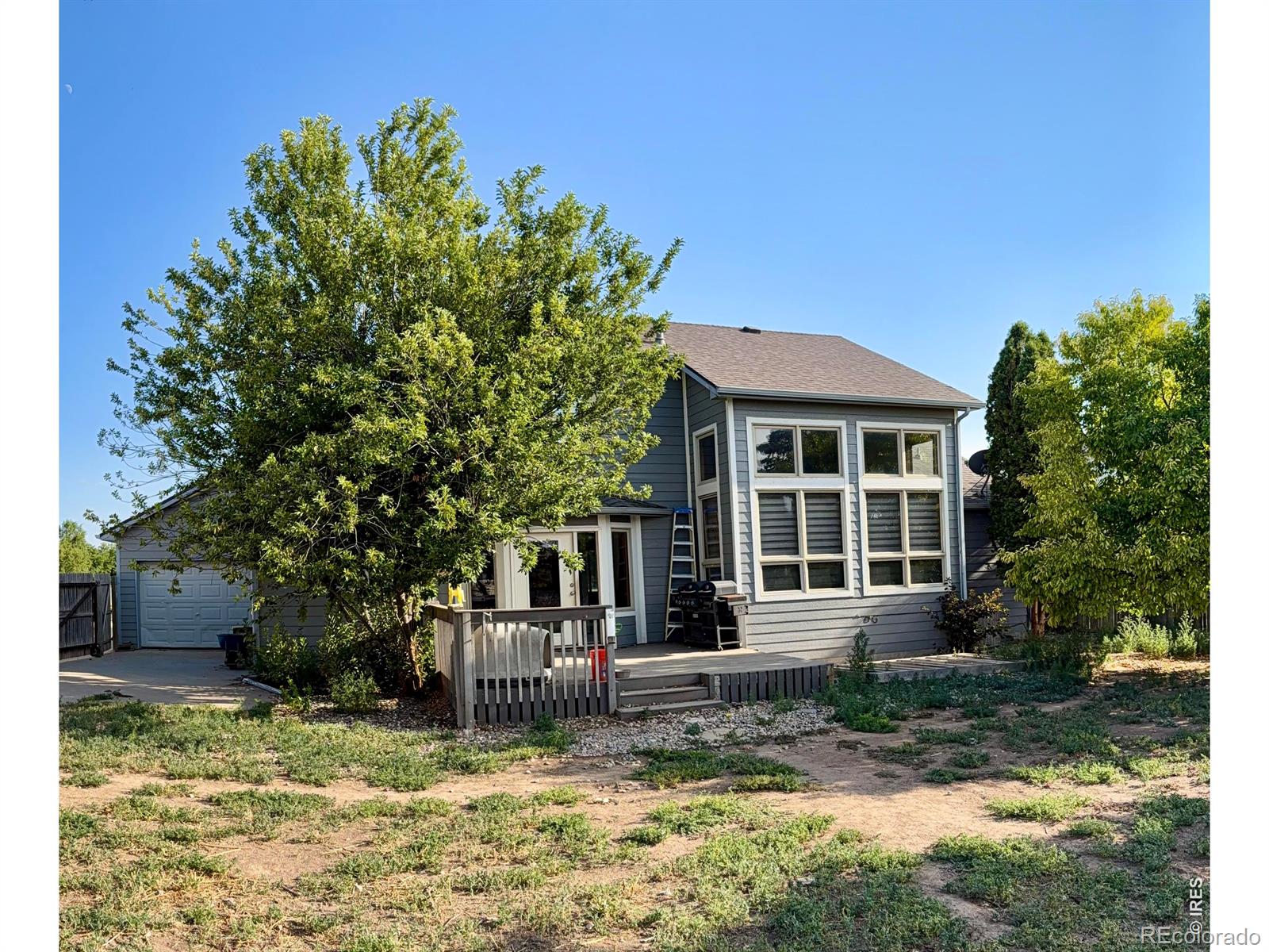 MLS Image #2 for 501  jackie ann street,ault, Colorado