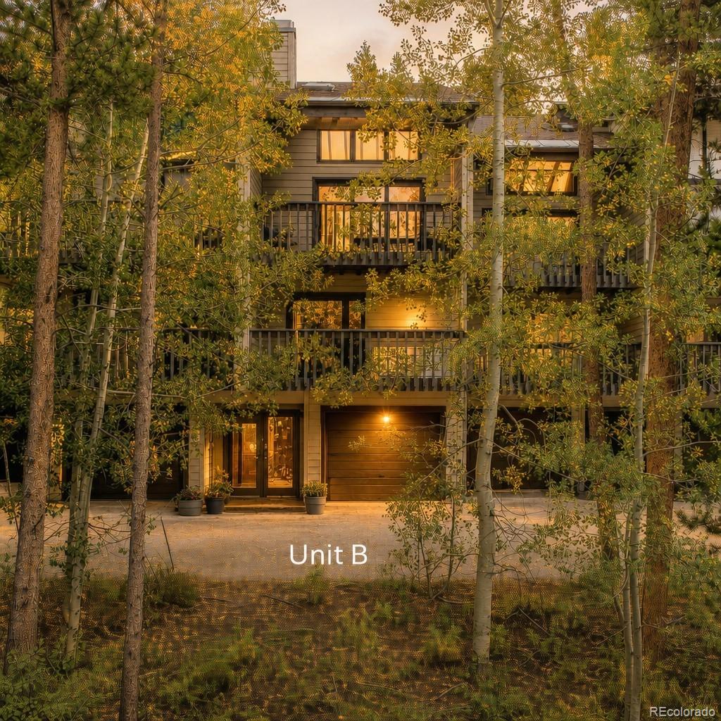 MLS Image #1 for 756  broken lance drive,breckenridge, Colorado