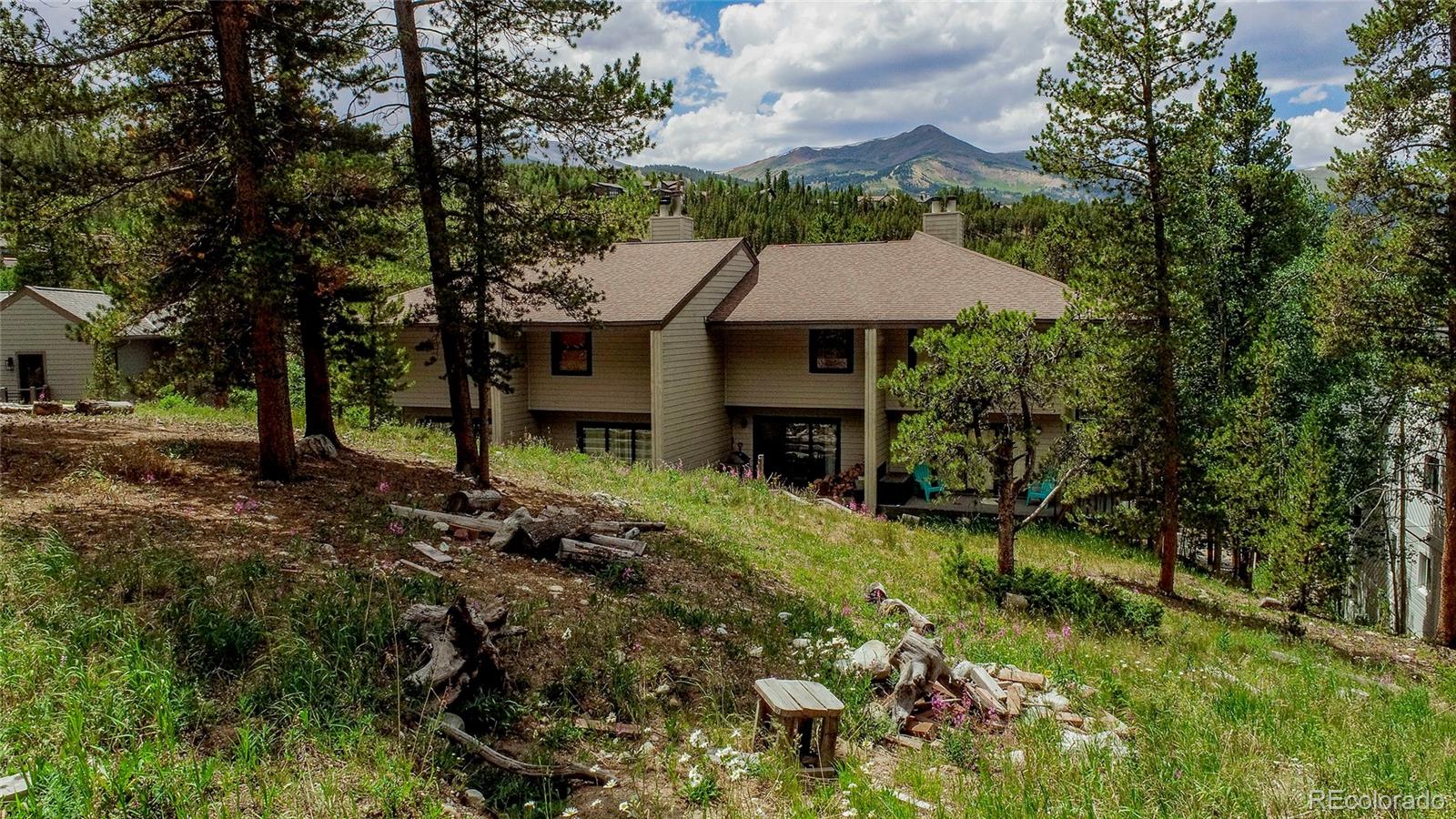 MLS Image #19 for 756  broken lance drive,breckenridge, Colorado