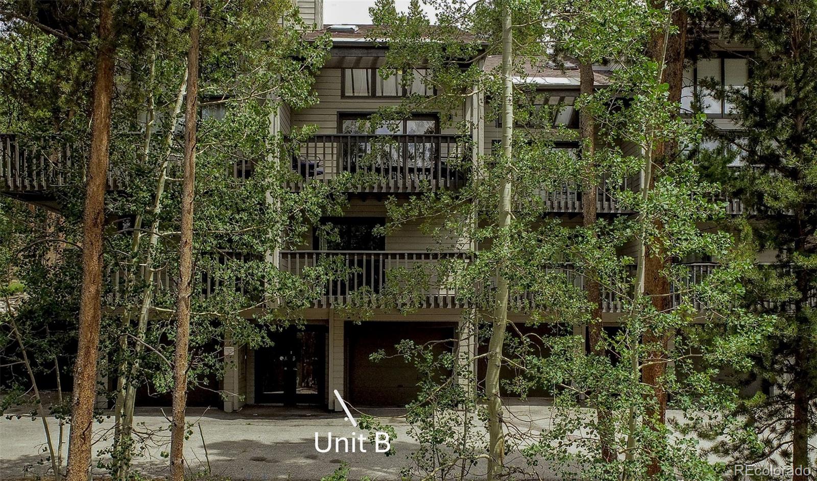MLS Image #32 for 756  broken lance drive,breckenridge, Colorado