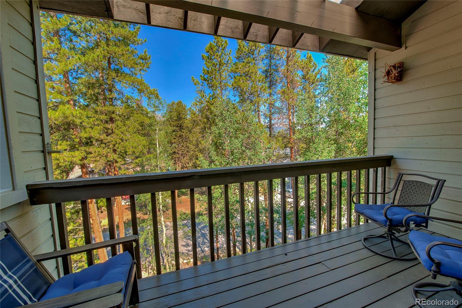 MLS Image #5 for 756  broken lance drive,breckenridge, Colorado
