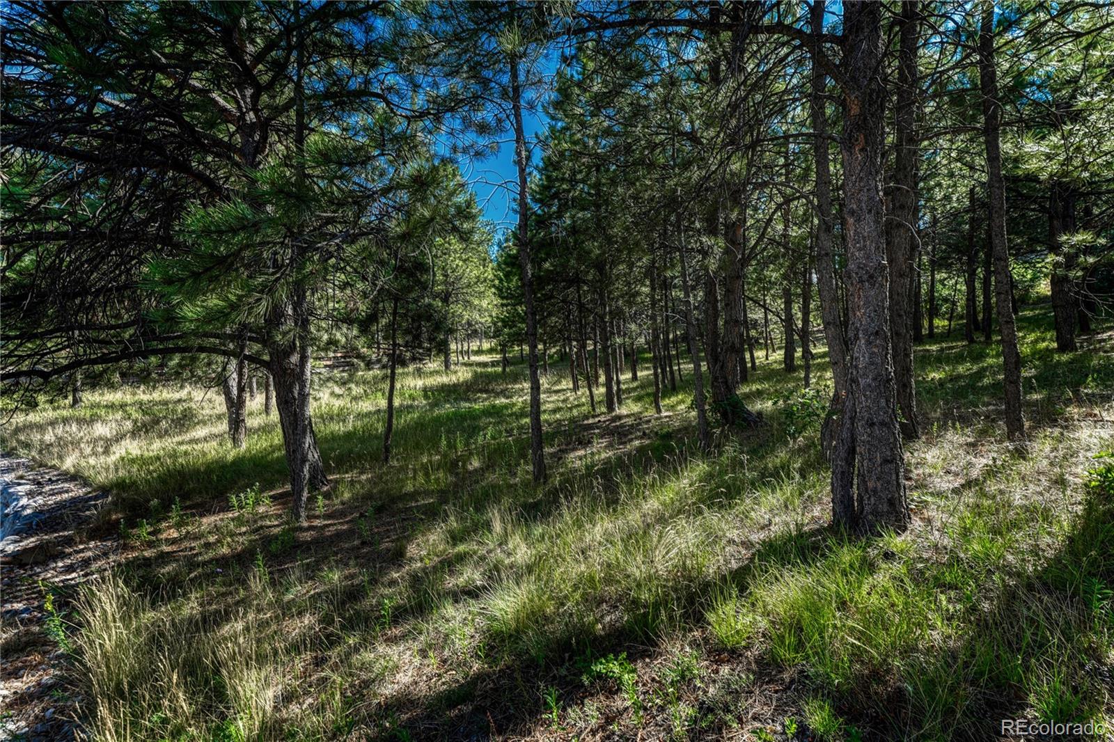 MLS Image #45 for 1103  greenland forest drive,monument, Colorado