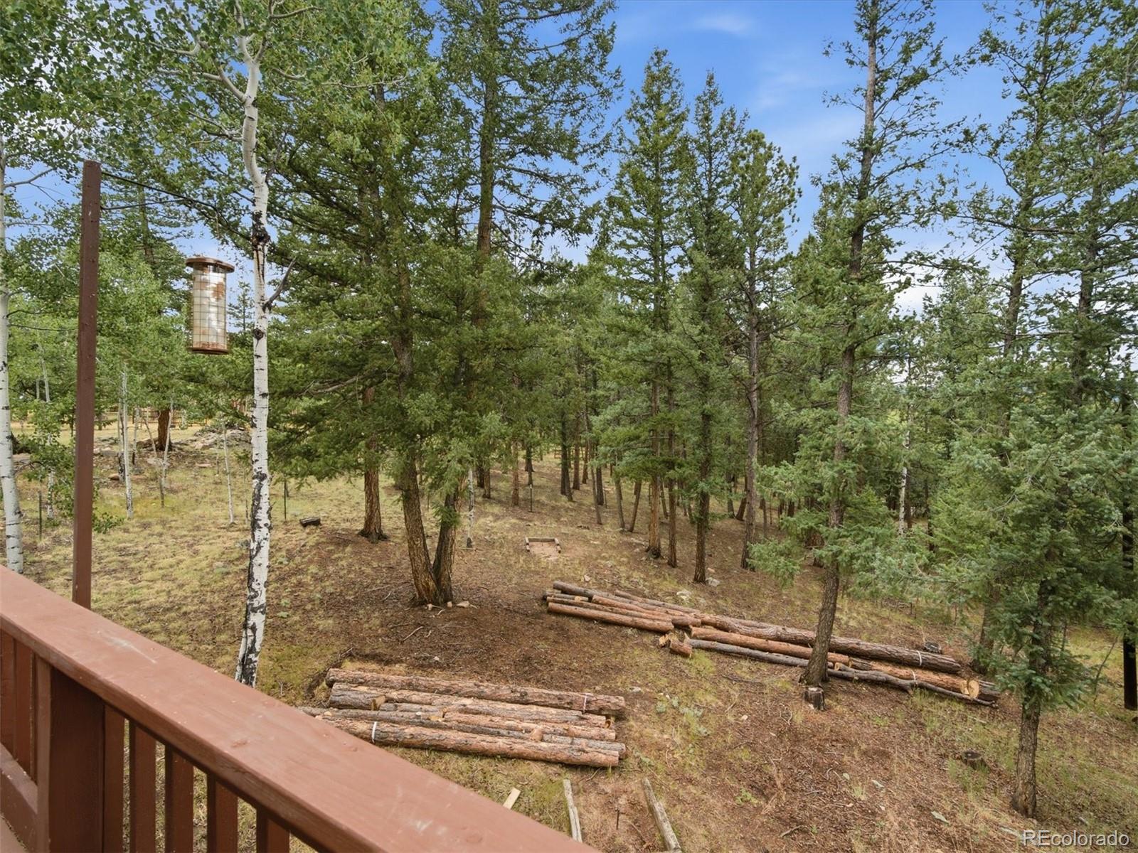 MLS Image #13 for 46  bay lane,bailey, Colorado