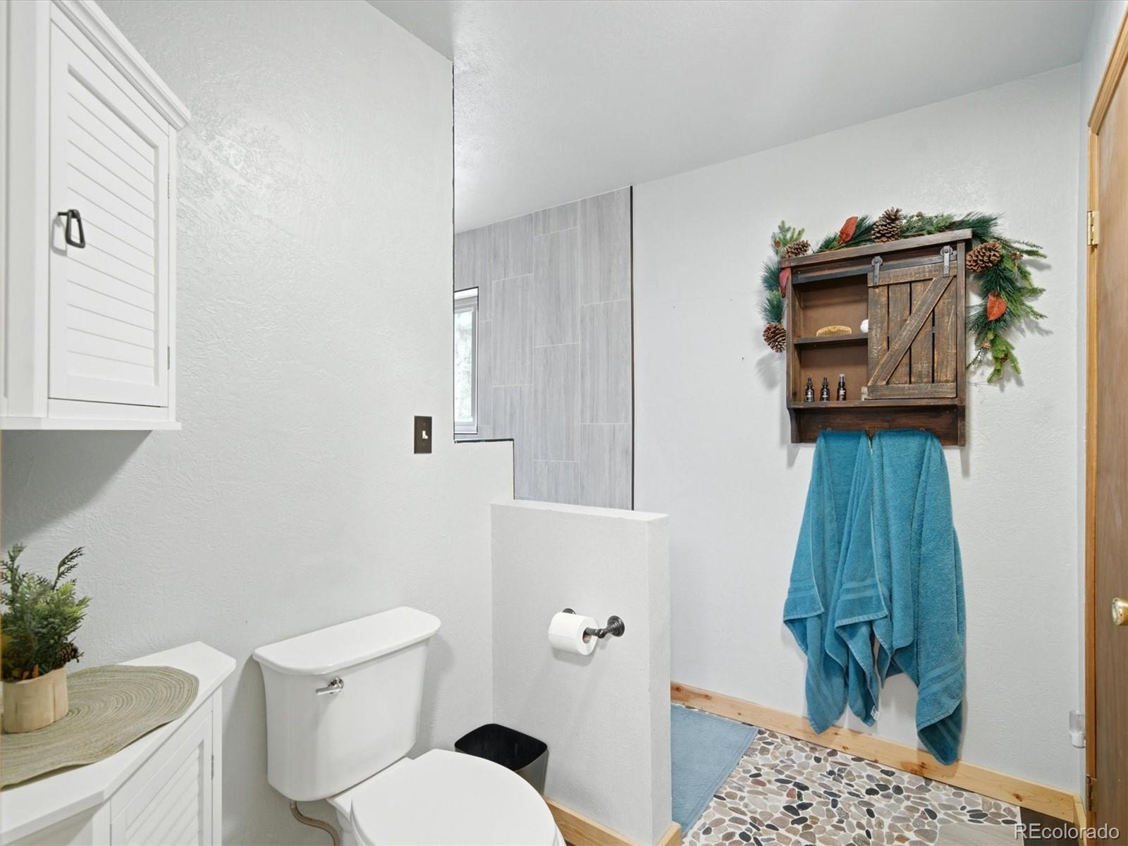 MLS Image #26 for 46  bay lane,bailey, Colorado