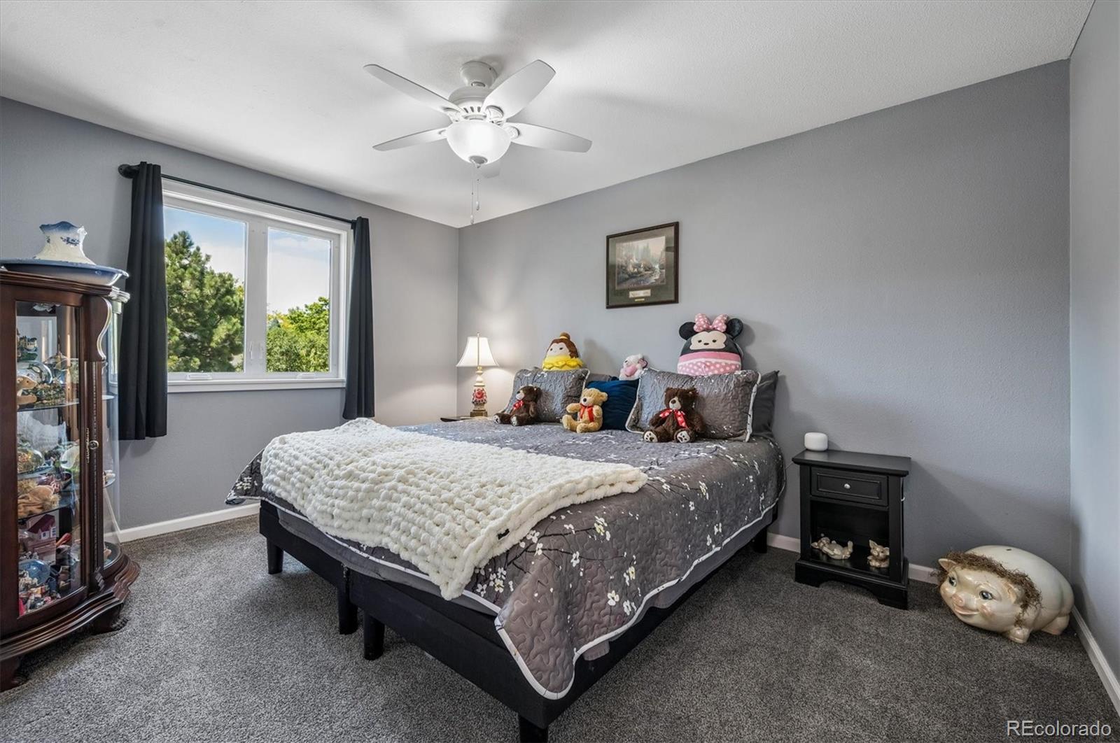 MLS Image #12 for 11701  harrison street,thornton, Colorado