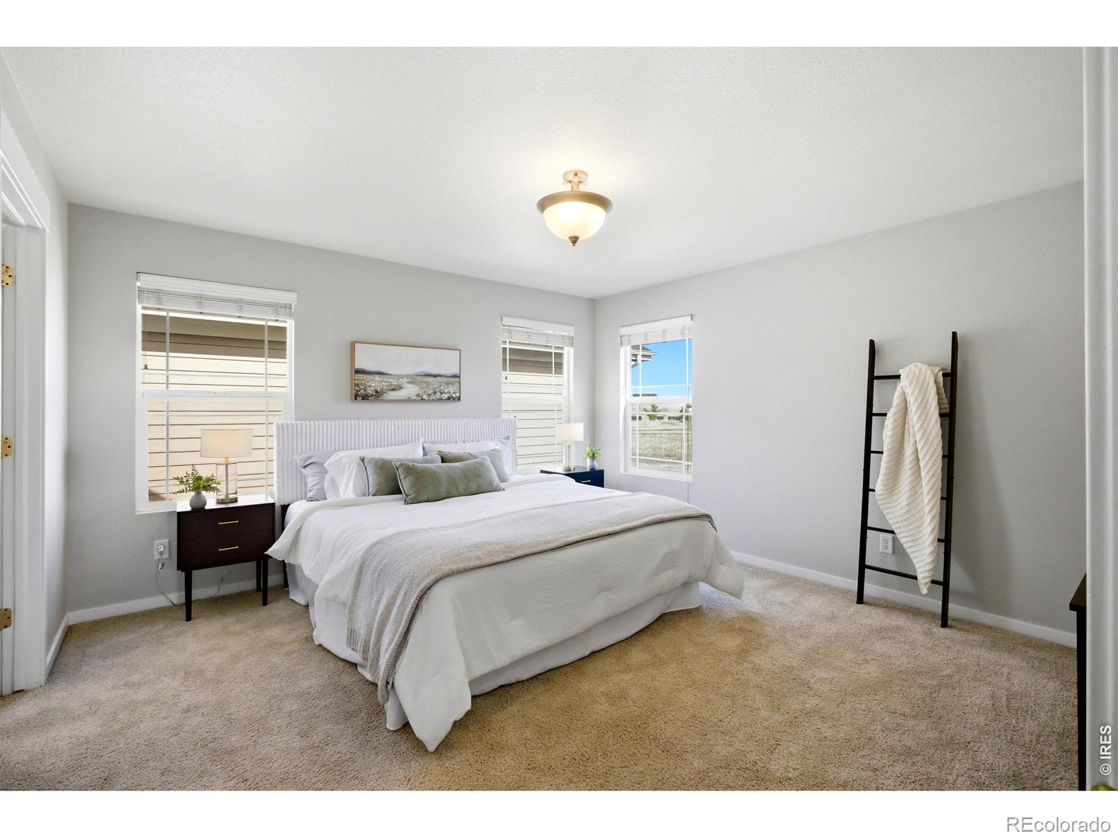 MLS Image #18 for 3878  red deer trail,broomfield, Colorado