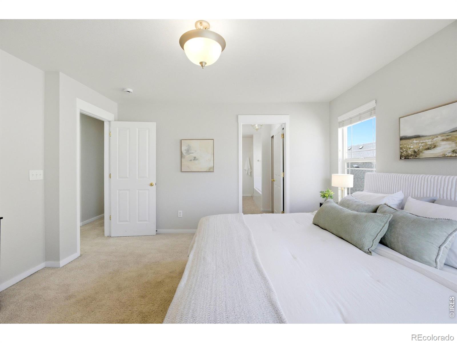 MLS Image #19 for 3878  red deer trail,broomfield, Colorado