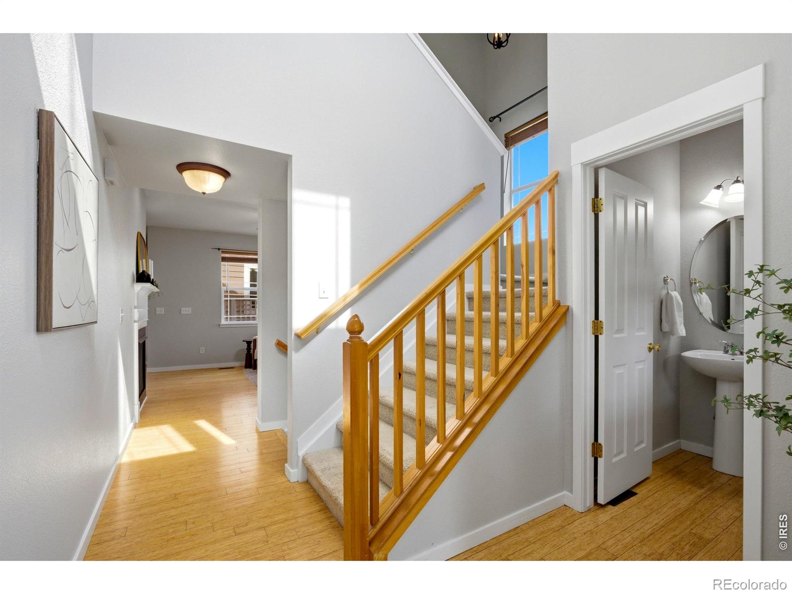 MLS Image #6 for 3878  red deer trail,broomfield, Colorado