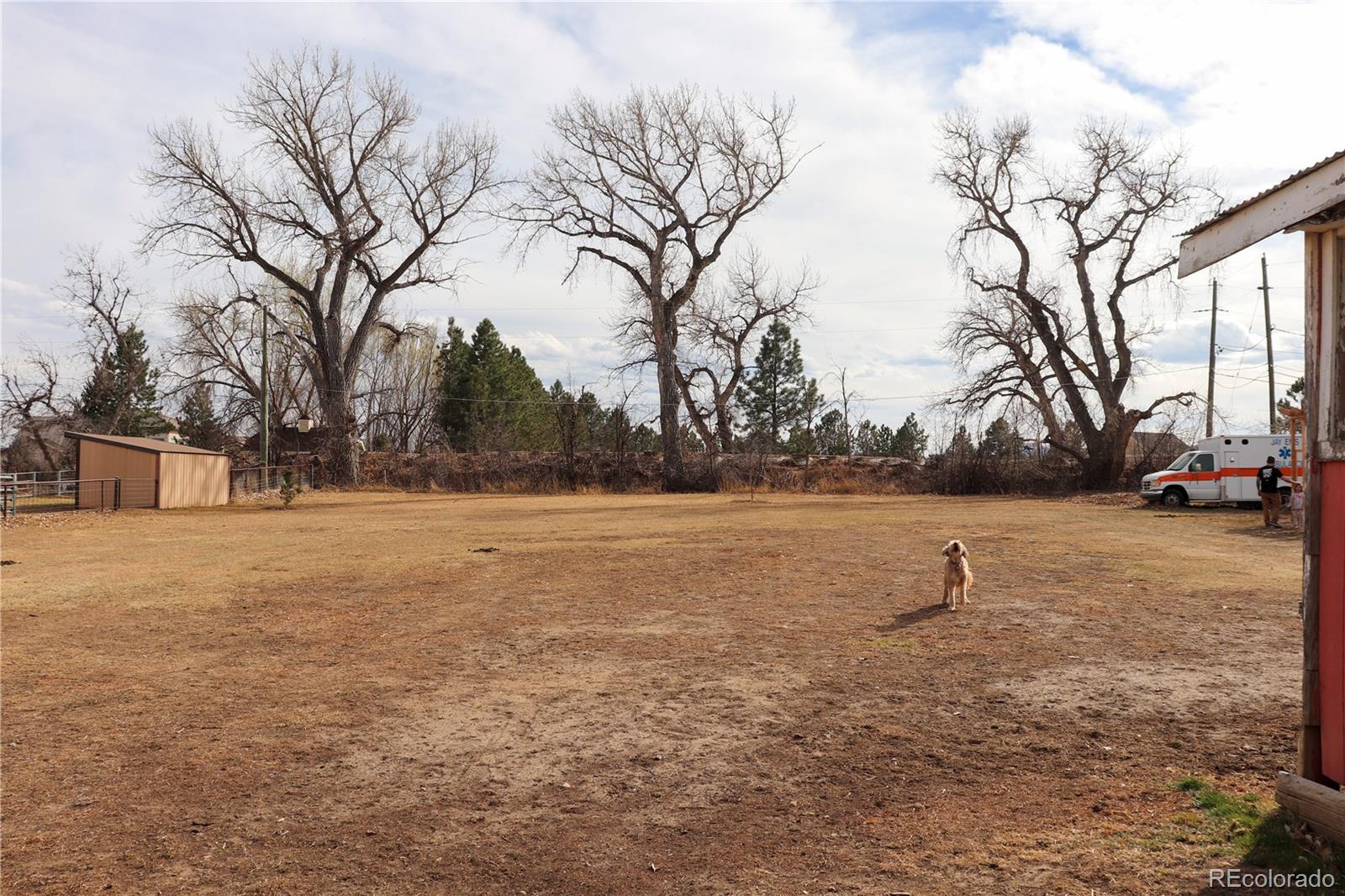 MLS Image #13 for 14206 w 74th place,arvada, Colorado