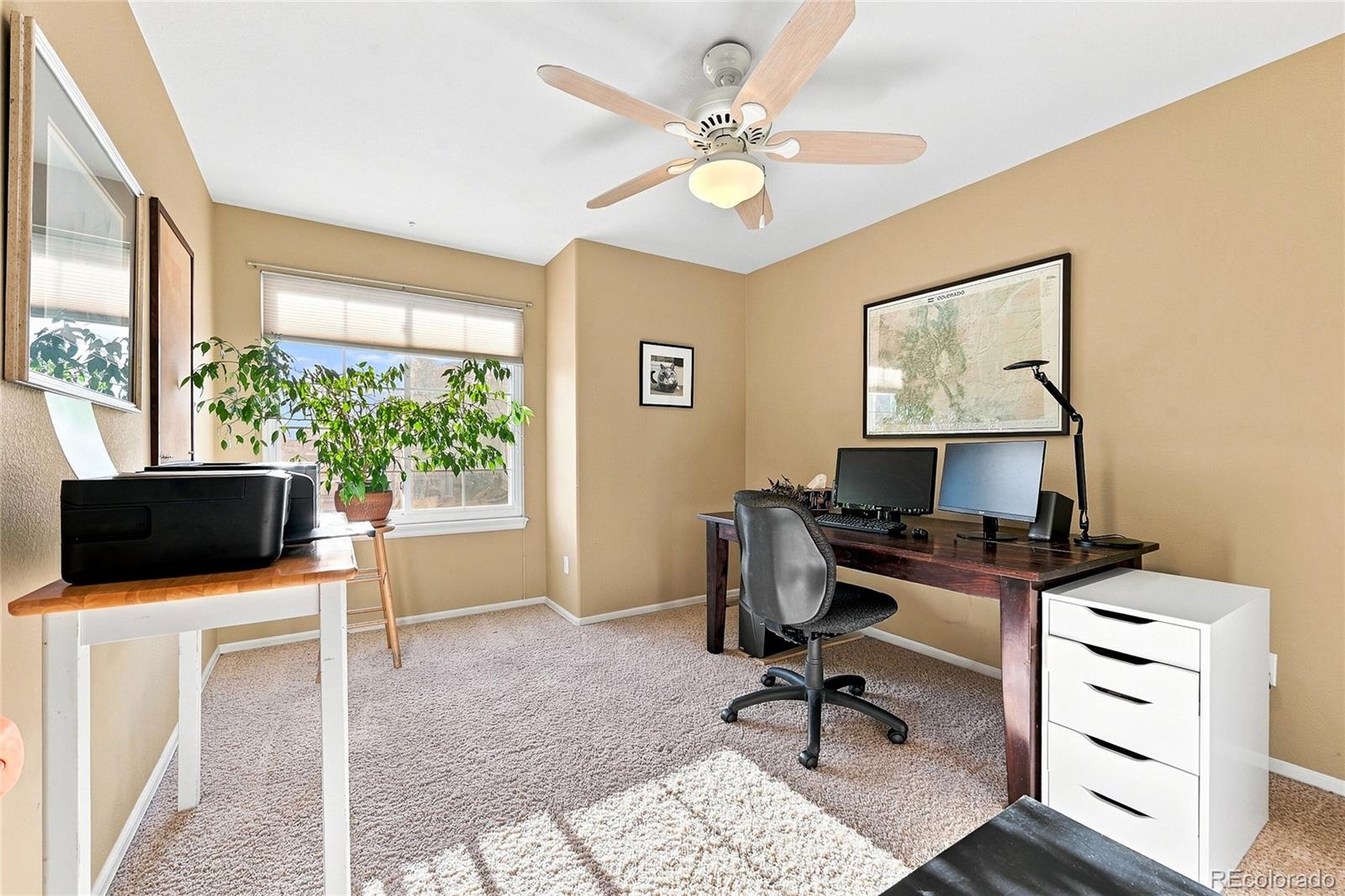 MLS Image #19 for 1515  short grass court,castle rock, Colorado