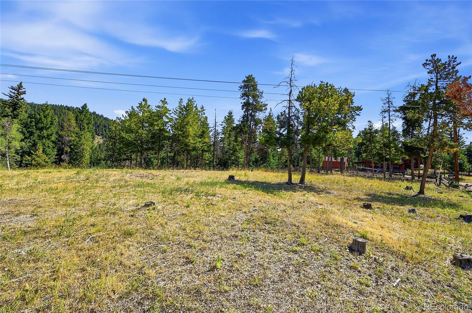 MLS Image #25 for 34481  piny point,evergreen, Colorado