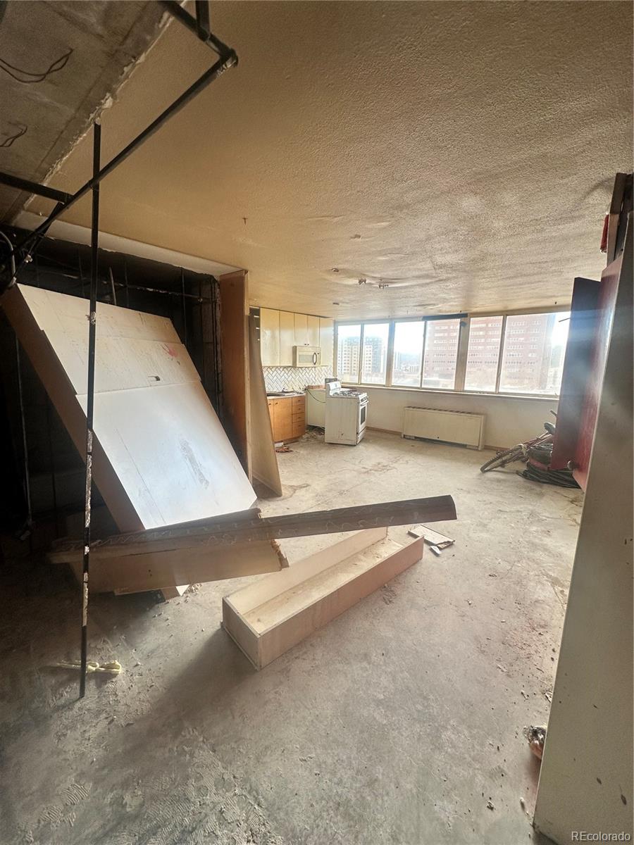 MLS Image #10 for 1196 n grant street,denver, Colorado