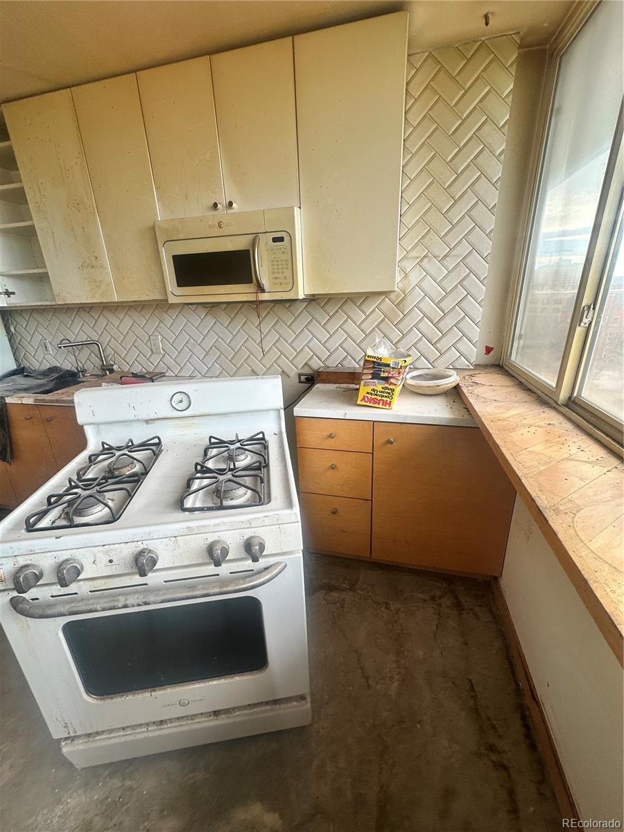 MLS Image #6 for 1196 n grant street,denver, Colorado