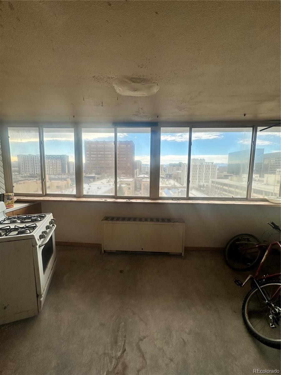 MLS Image #7 for 1196 n grant street,denver, Colorado