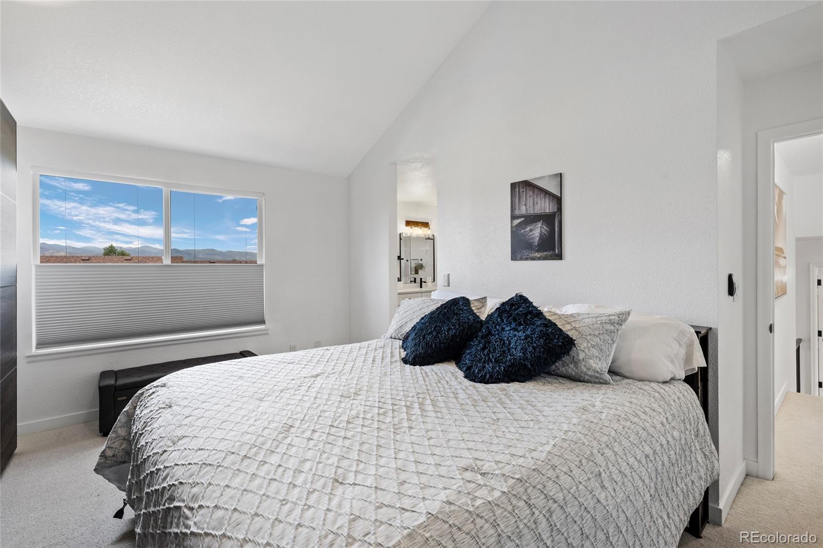 MLS Image #21 for 9803  bucknell court,highlands ranch, Colorado