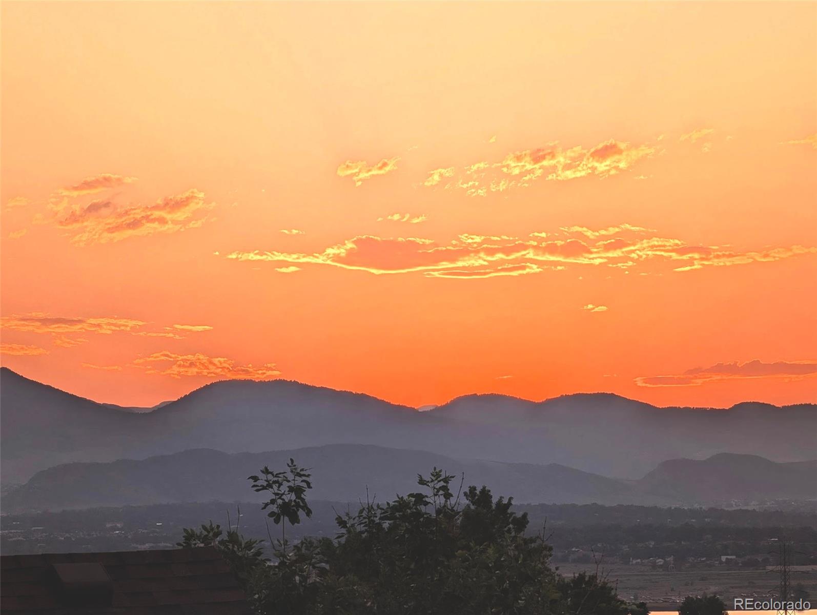 MLS Image #5 for 9803  bucknell court,littleton, Colorado