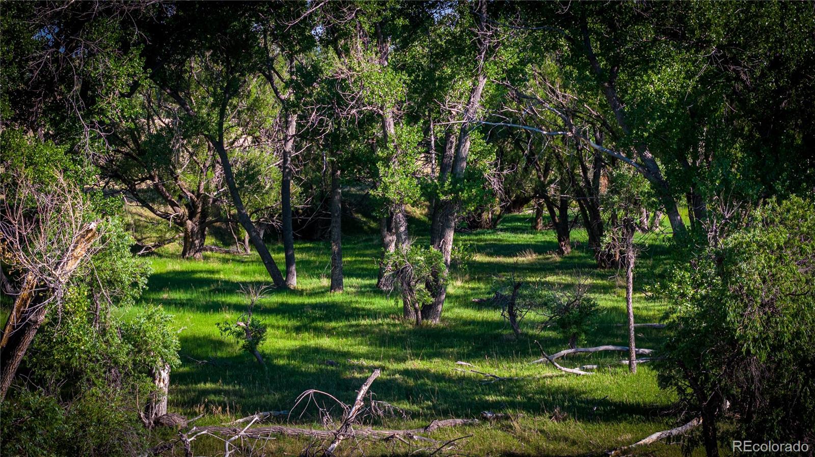 MLS Image #1 for 178  county road ,parker, Colorado