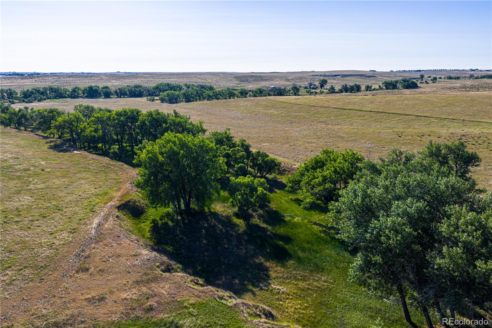 MLS Image #4 for 178  county road ,parker, Colorado