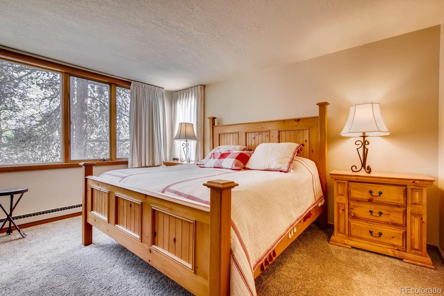 MLS Image #10 for 21620  us highway 6 ,keystone, Colorado
