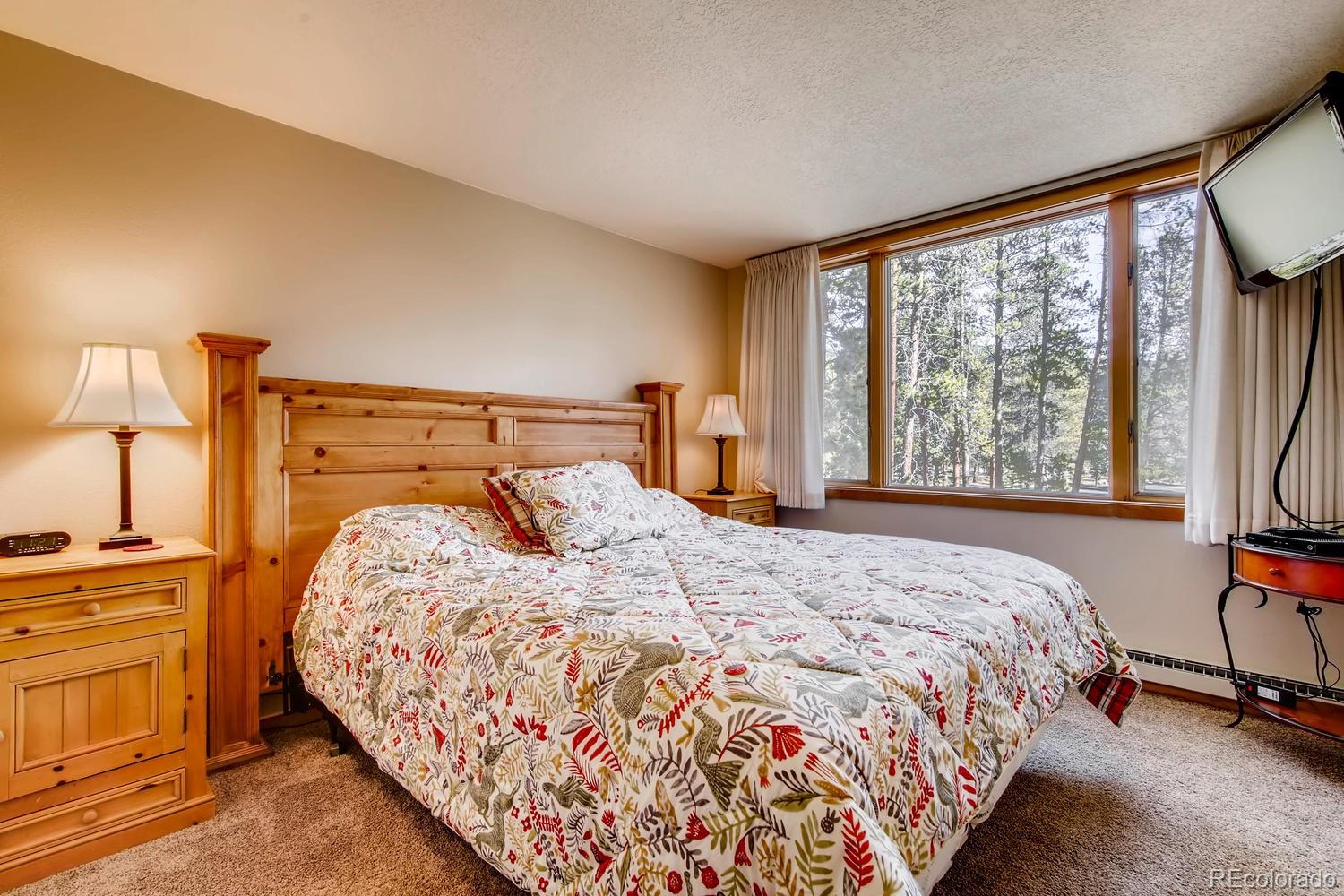MLS Image #15 for 21620  us highway 6 ,keystone, Colorado