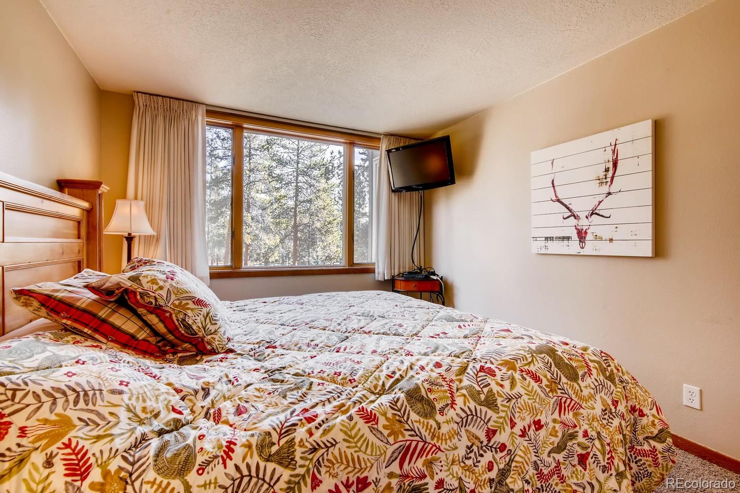 MLS Image #16 for 21620  us highway 6 ,keystone, Colorado
