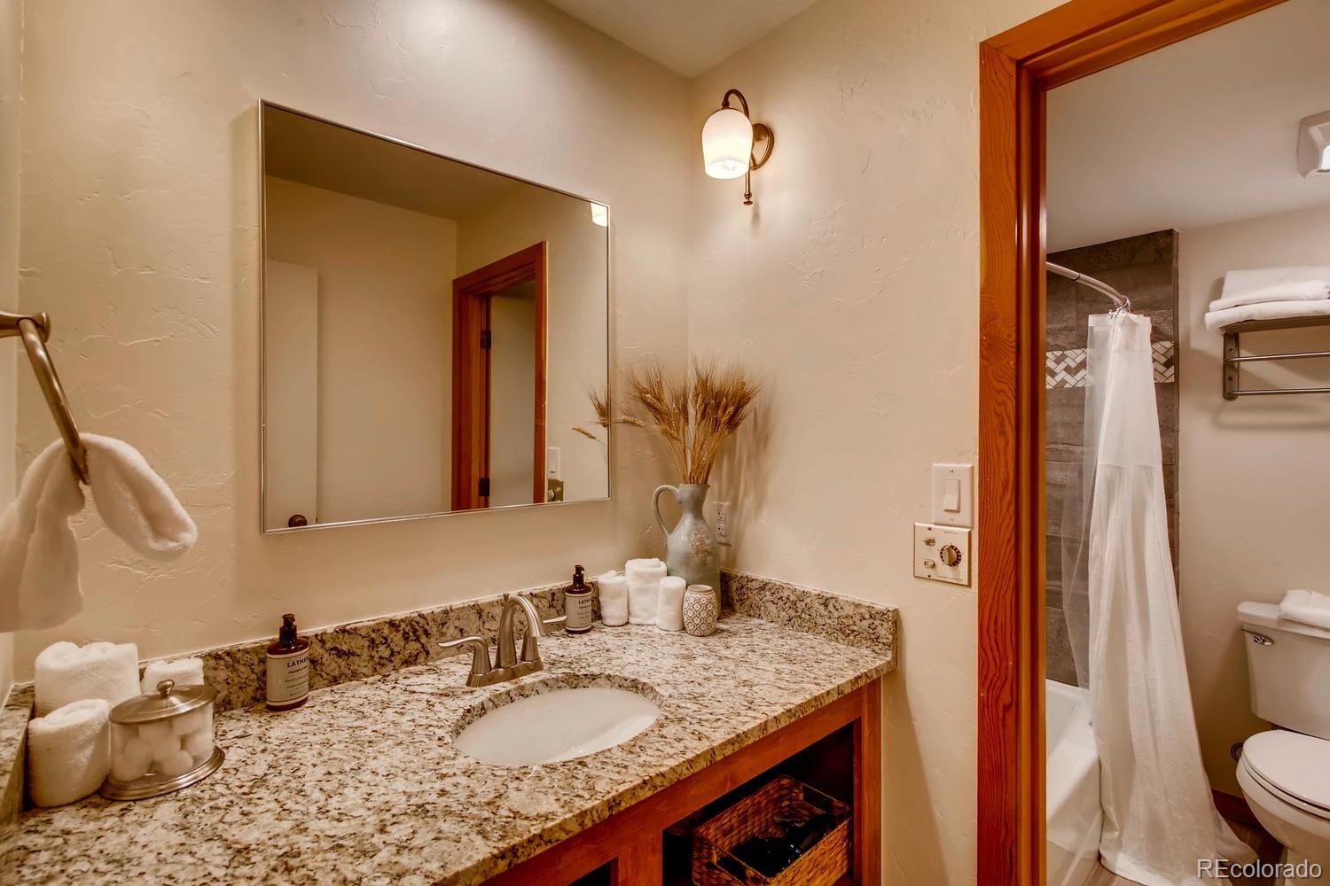 MLS Image #17 for 21620  us highway 6 ,keystone, Colorado