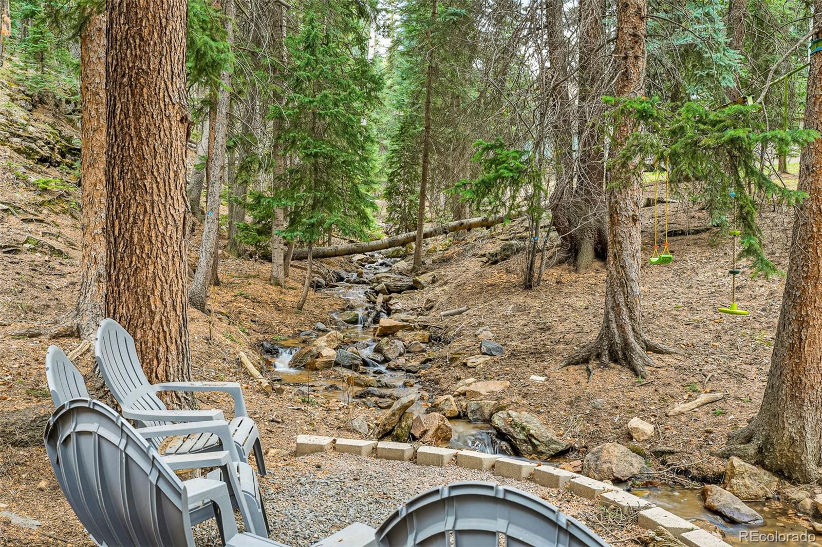 MLS Image #24 for 34788  forest estates road,evergreen, Colorado