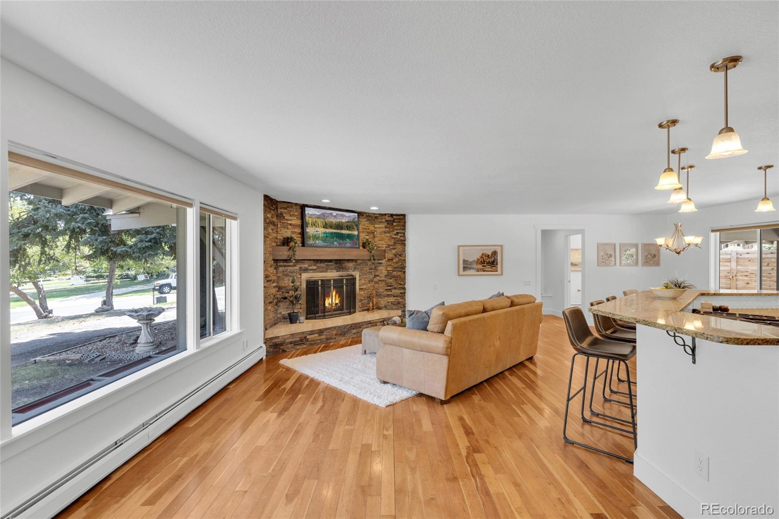 MLS Image #8 for 11  meadowlark lane,littleton, Colorado