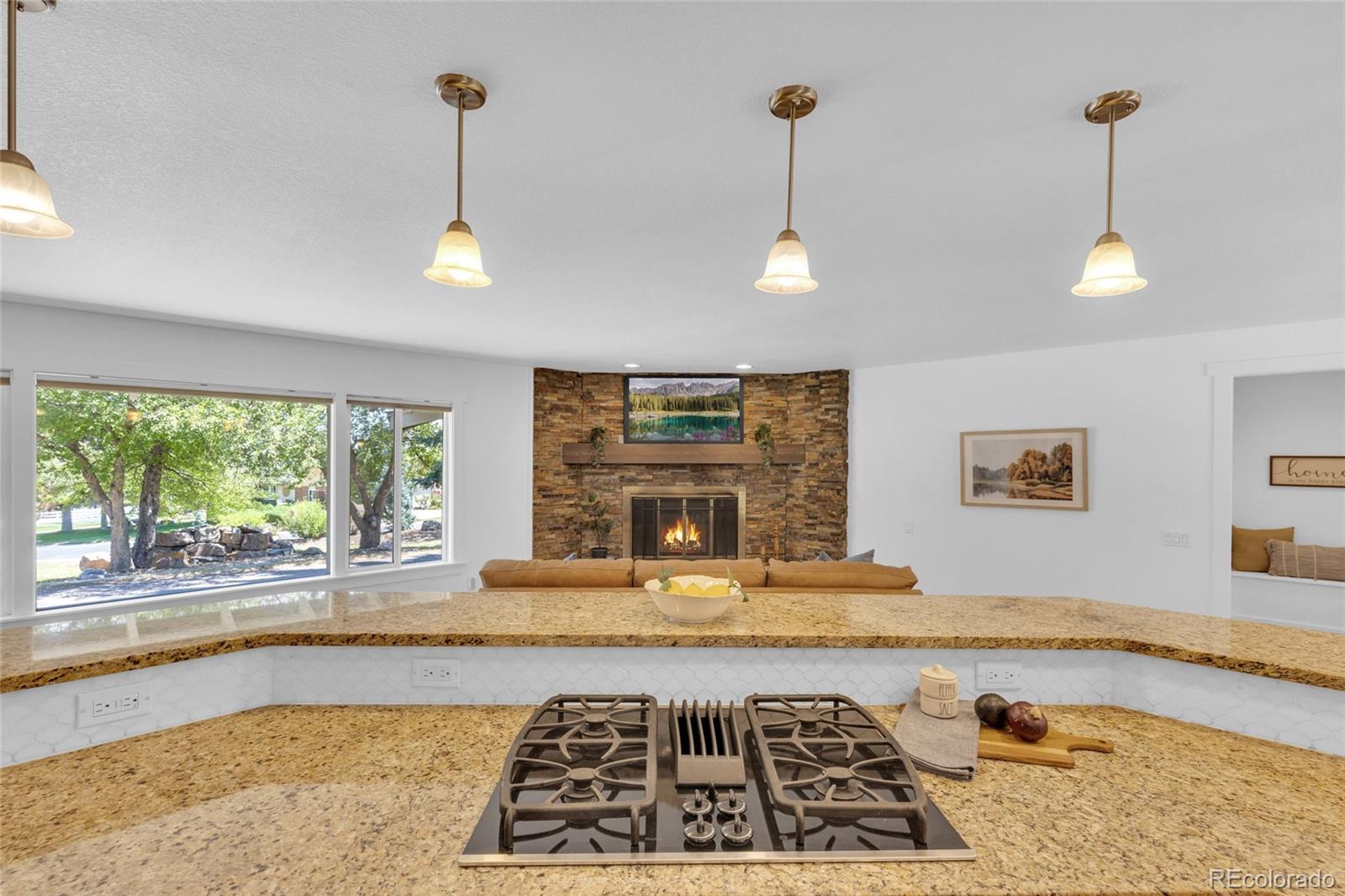 MLS Image #9 for 11  meadowlark lane,littleton, Colorado