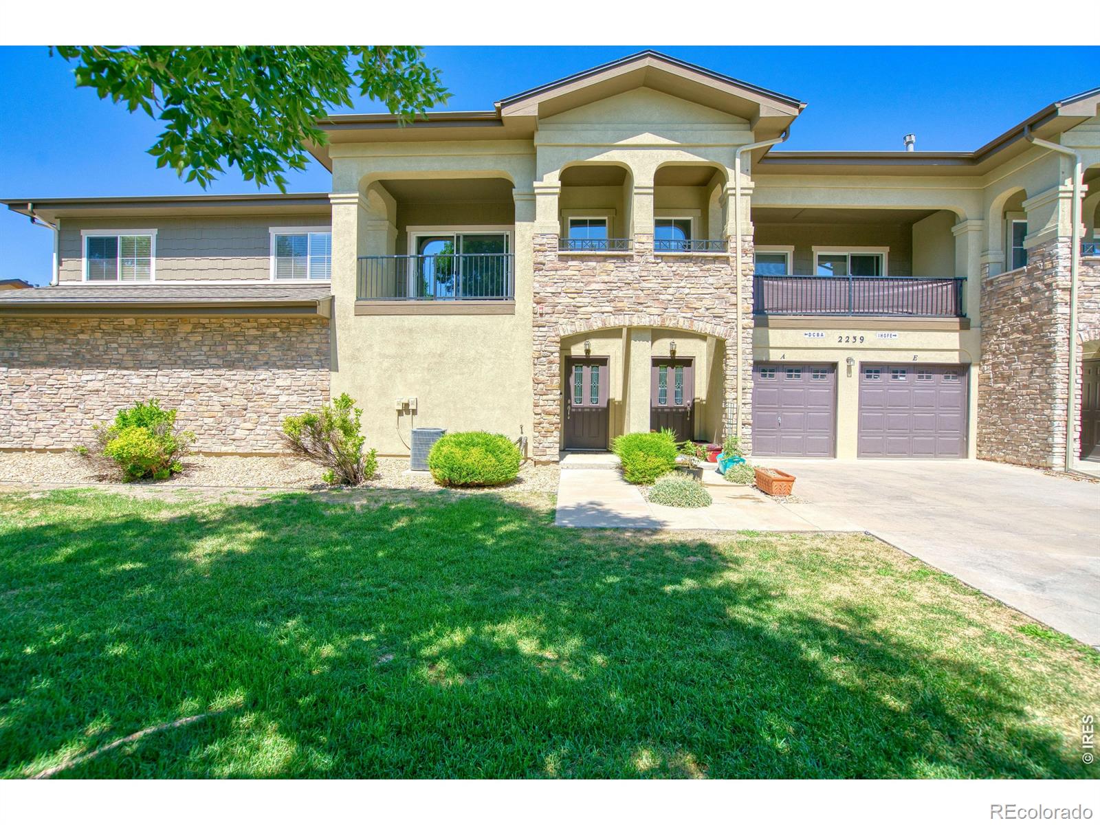 MLS Image #0 for 2239  calais drive,longmont, Colorado