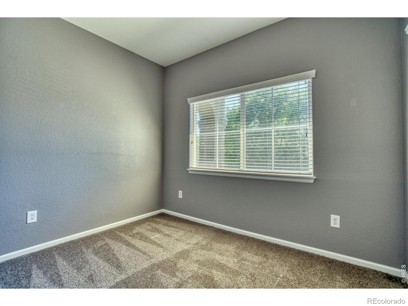 MLS Image #10 for 2239  calais drive,longmont, Colorado