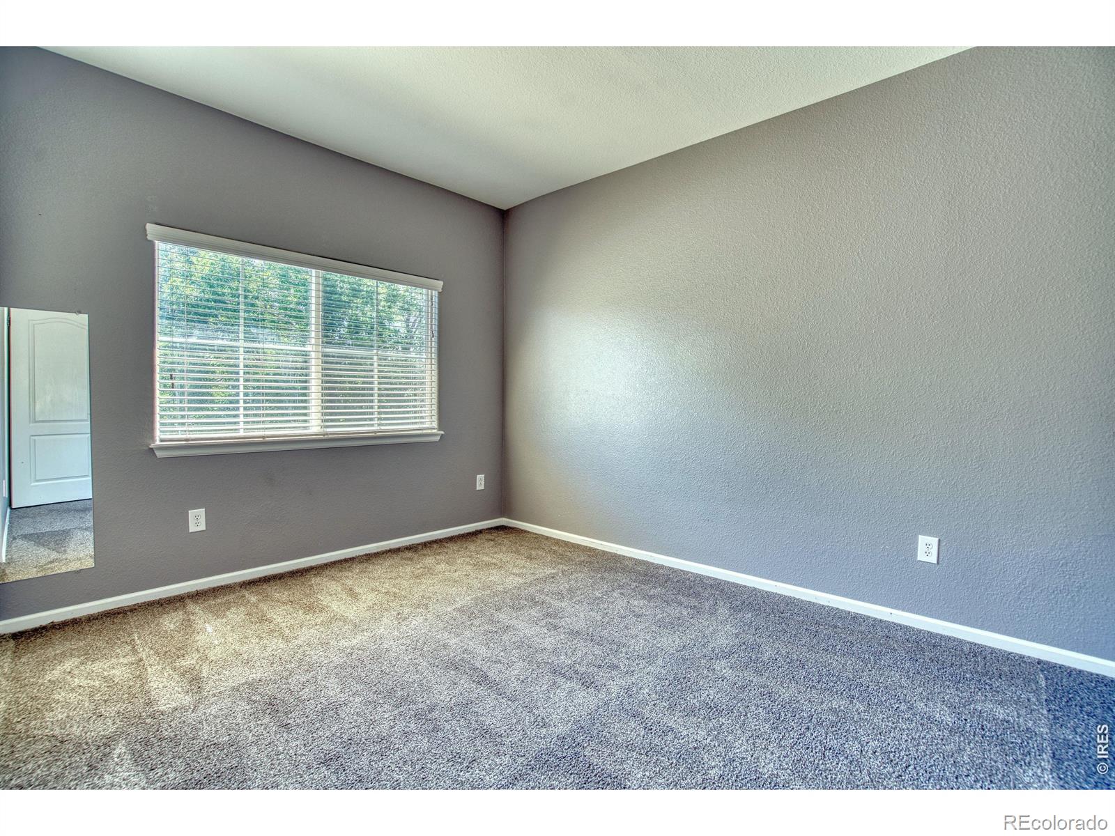MLS Image #14 for 2239  calais drive,longmont, Colorado