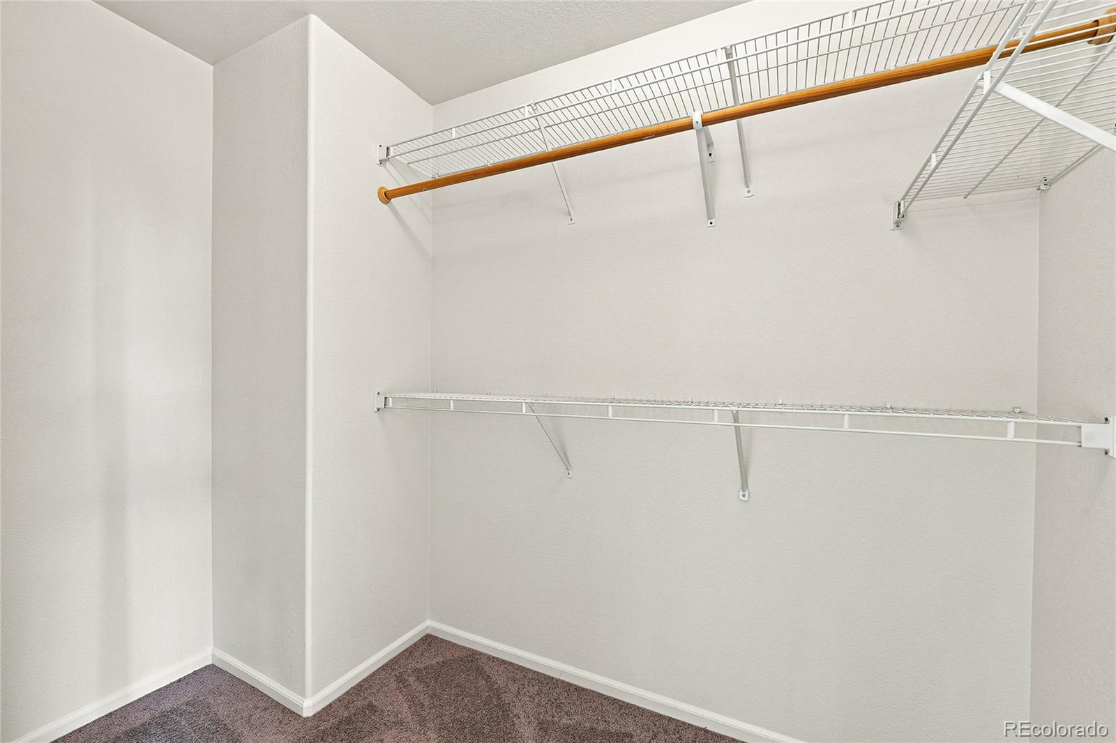 MLS Image #23 for 9130  anasazi indian trail,highlands ranch, Colorado