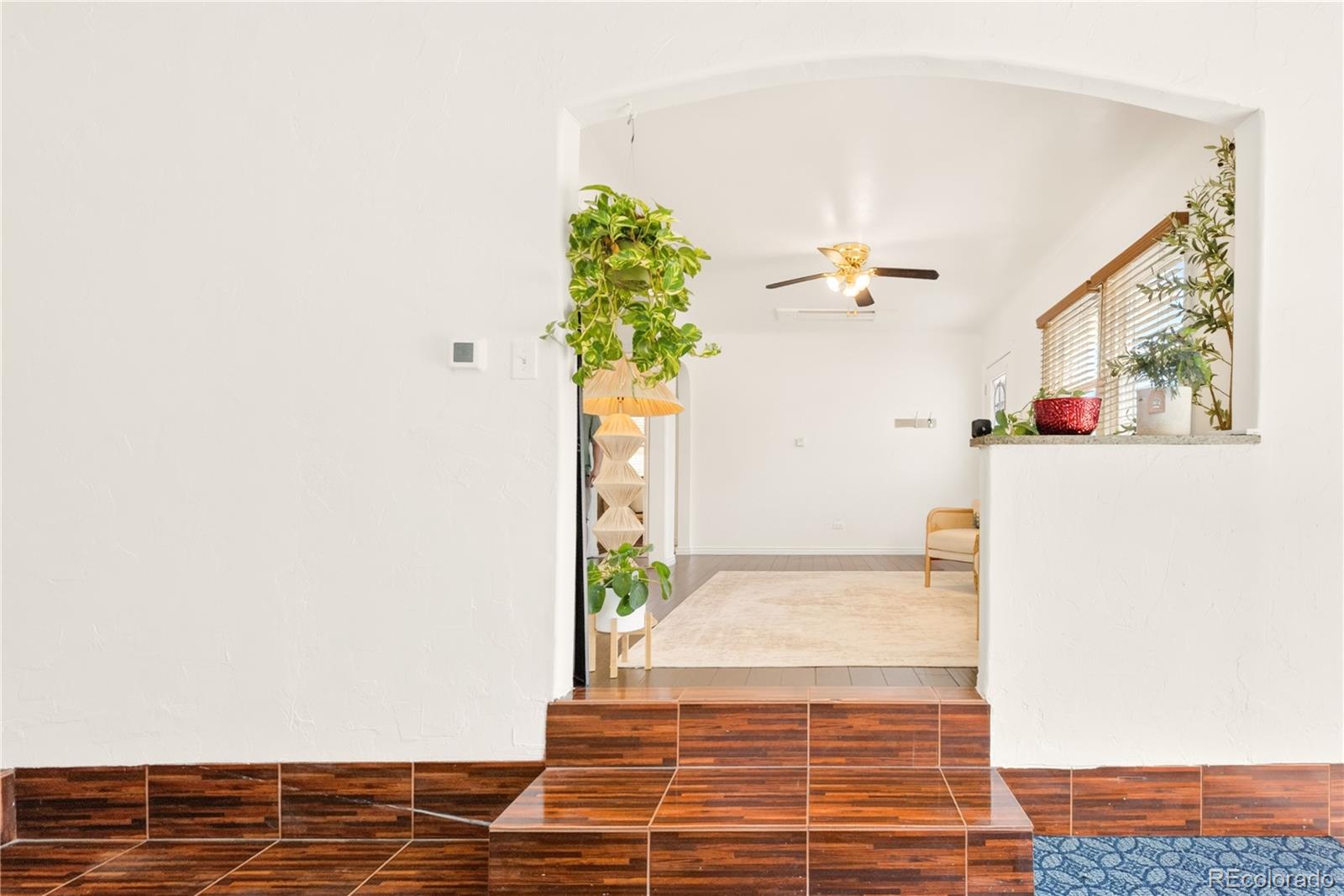 MLS Image #20 for 4574  wyandot street,denver, Colorado