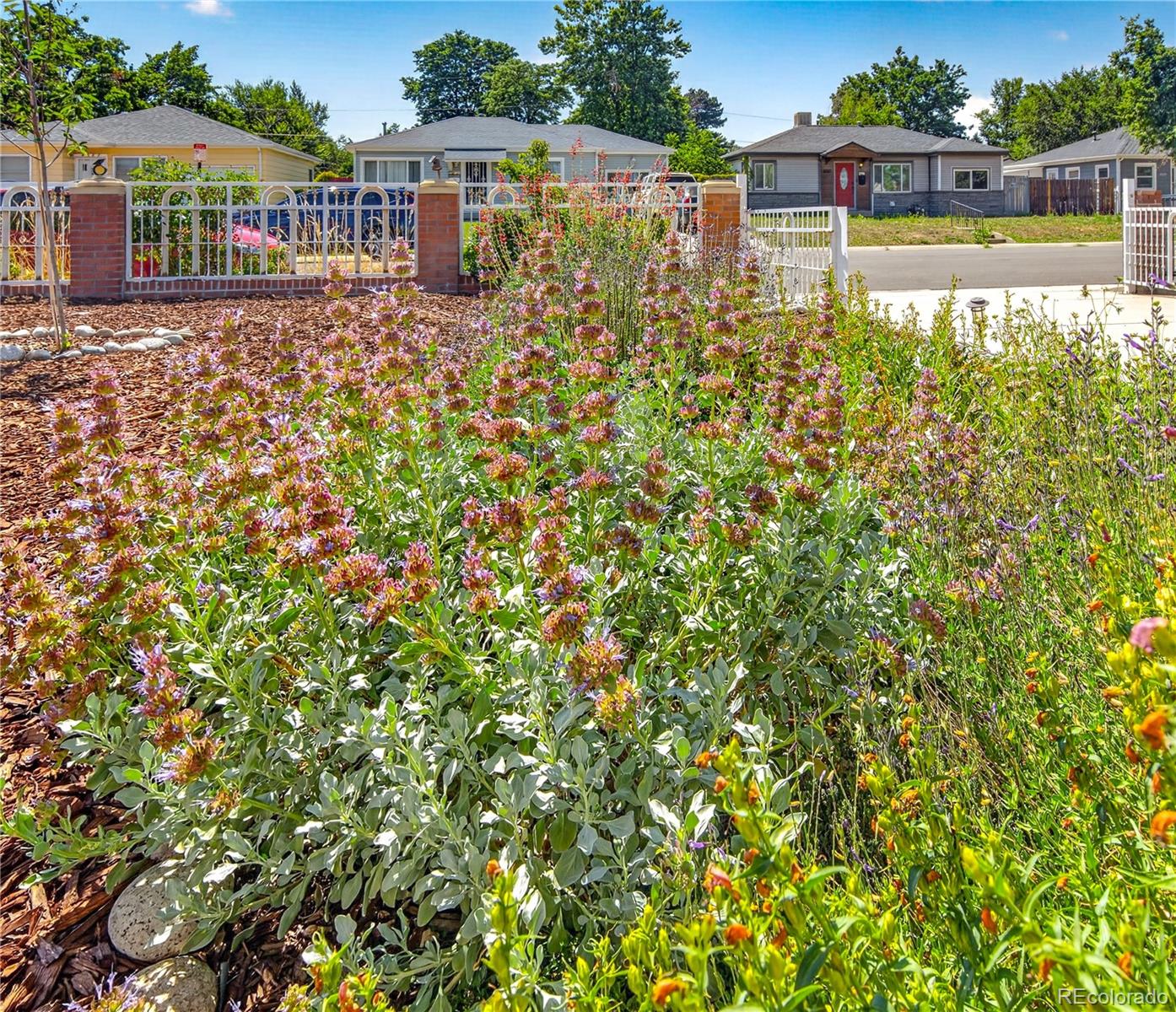 MLS Image #22 for 4574  wyandot street,denver, Colorado