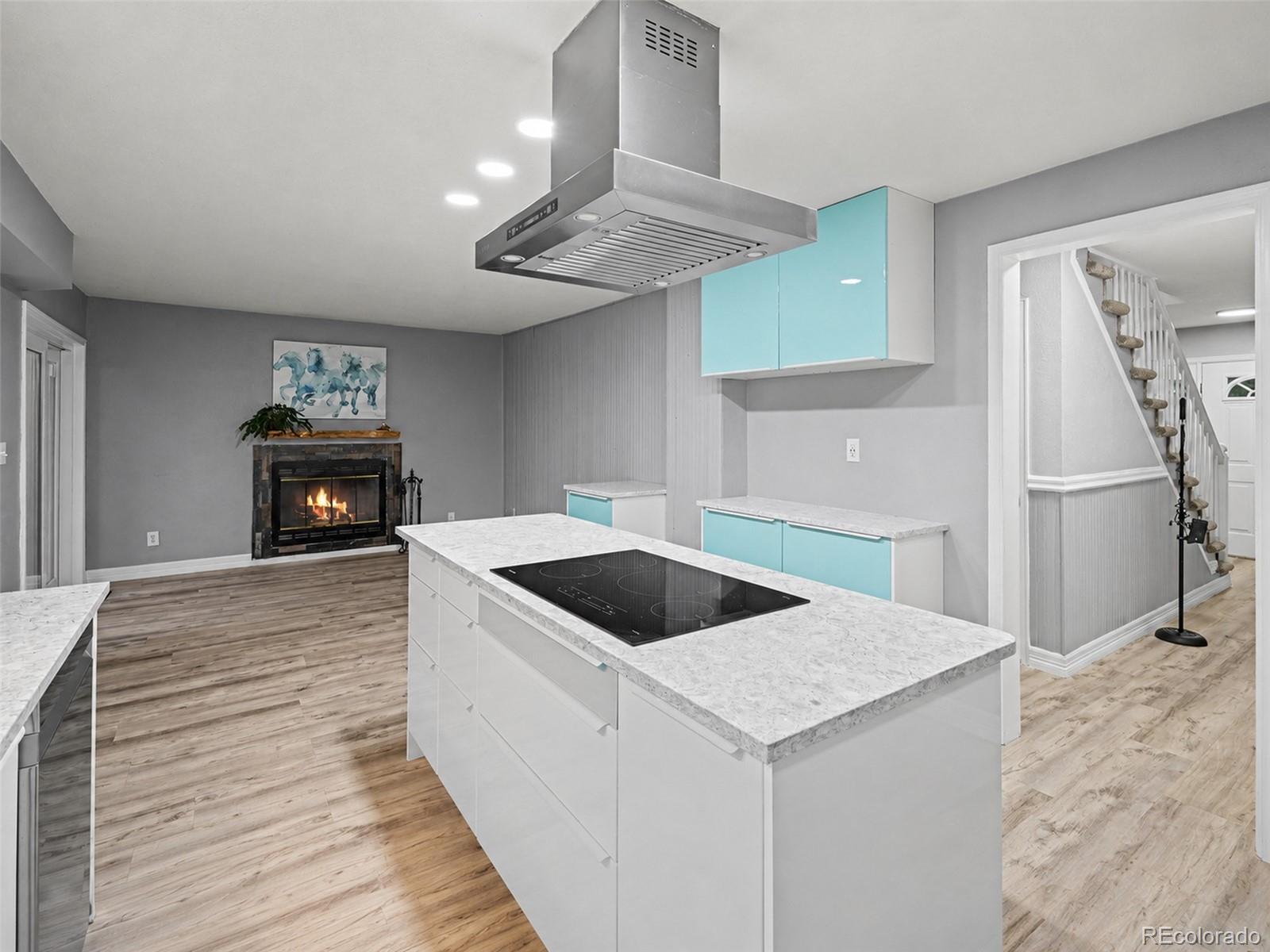 MLS Image #10 for 2090  helen court,parker, Colorado
