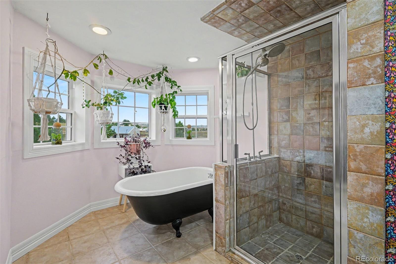 MLS Image #22 for 2090  helen court,parker, Colorado