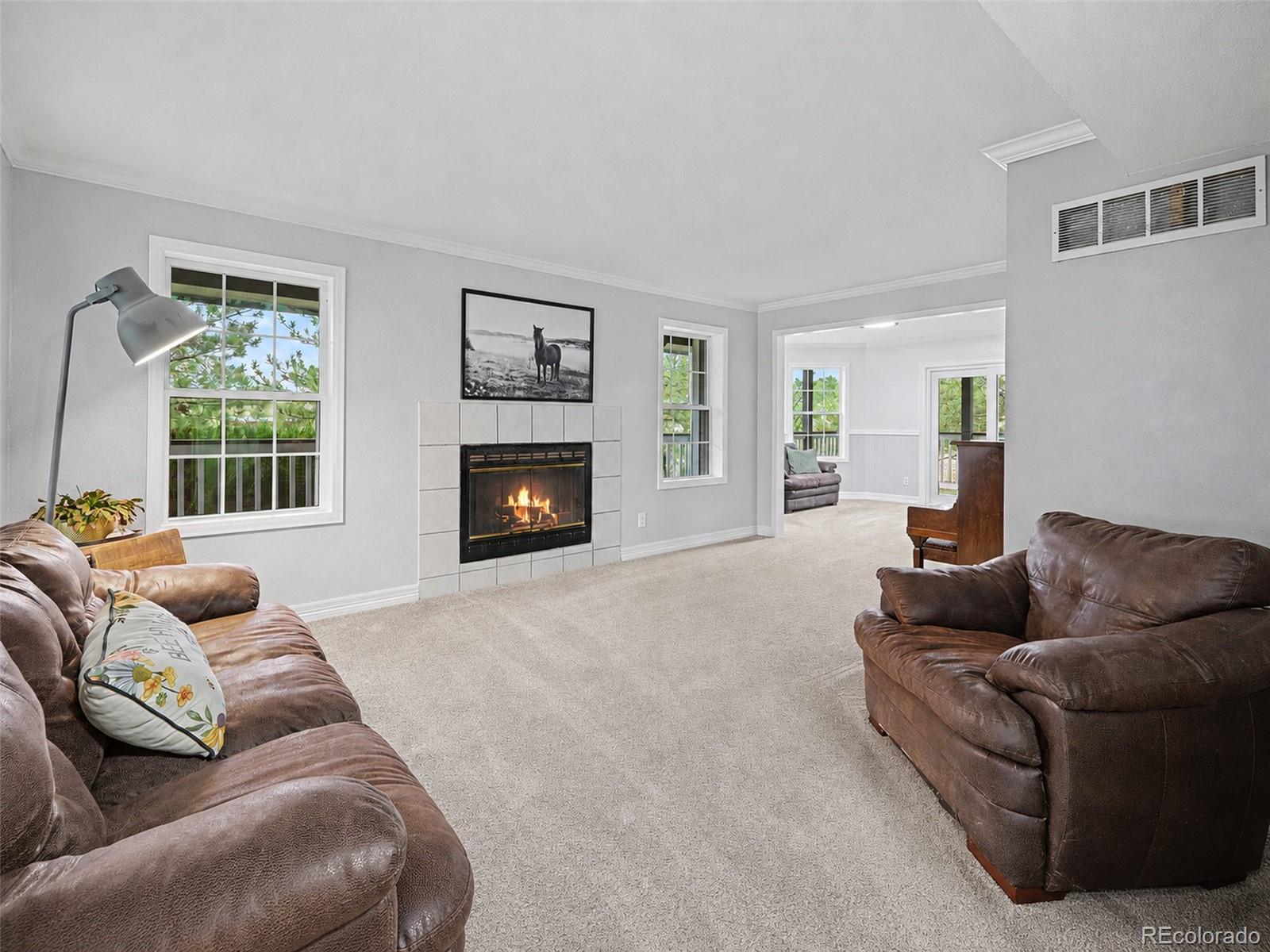 MLS Image #4 for 2090  helen court,parker, Colorado