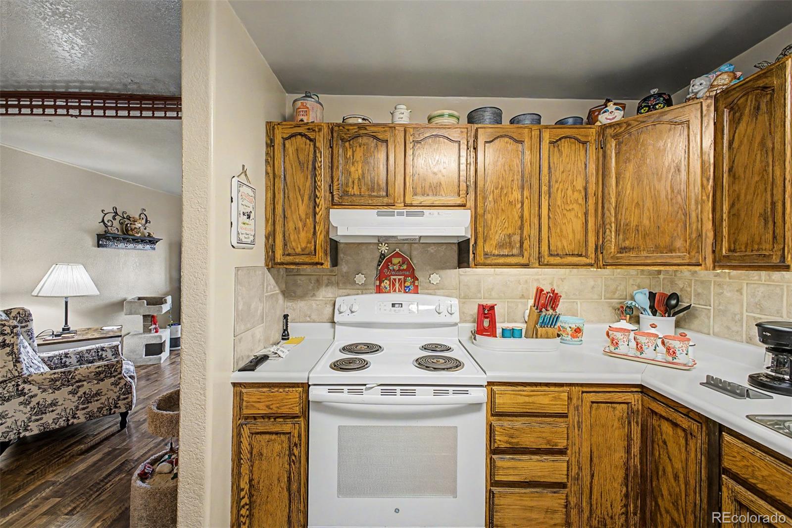 MLS Image #12 for 381  el paso court,denver, Colorado
