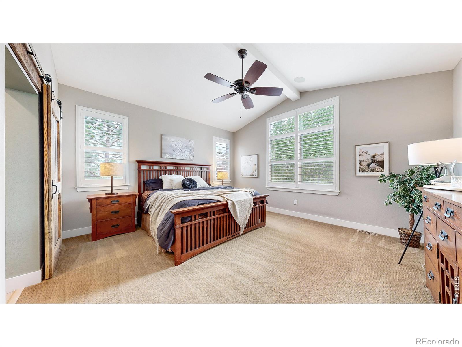 MLS Image #13 for 4459  chaplin creek court,loveland, Colorado
