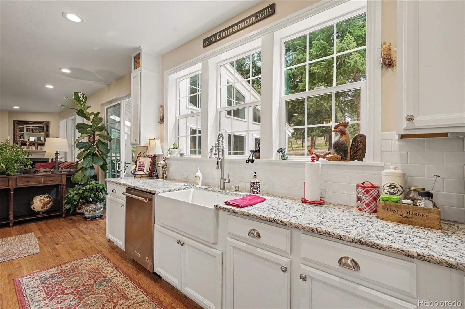 MLS Image #9 for 4854  cheyenne drive,larkspur, Colorado