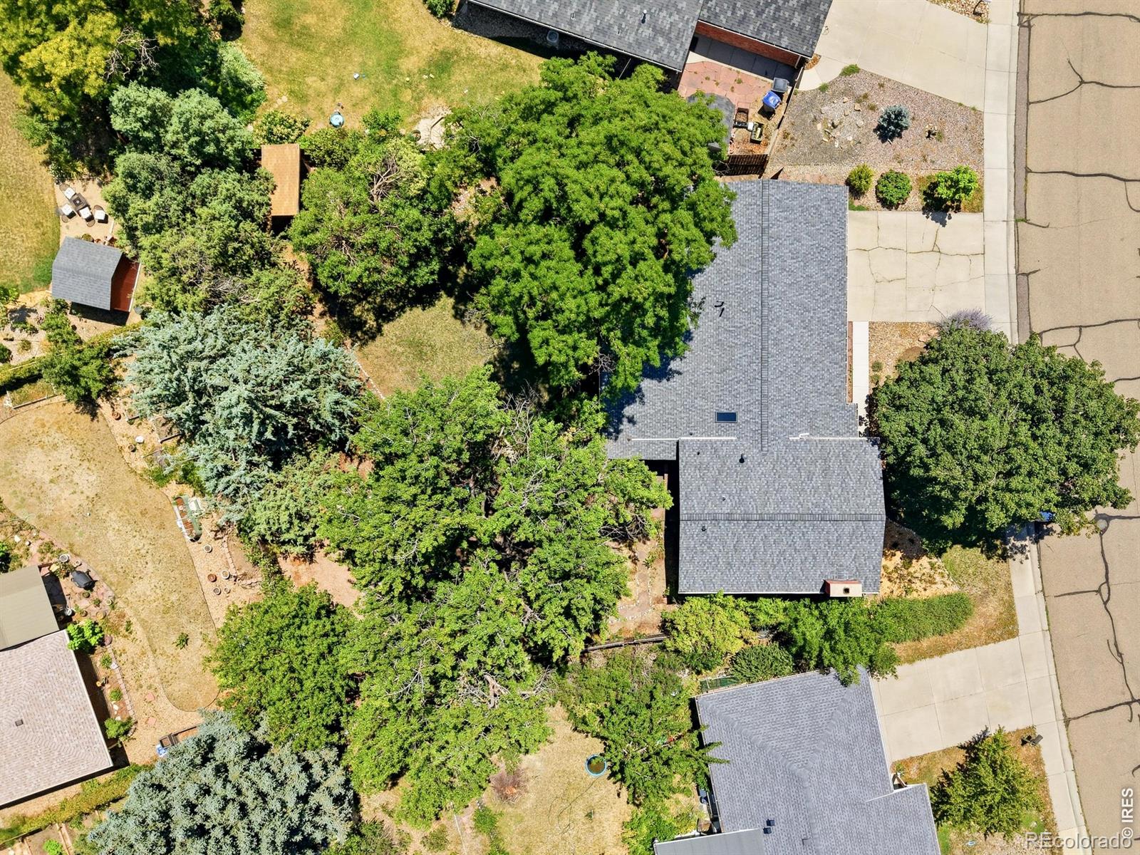 MLS Image #9 for 14  princeton circle,longmont, Colorado